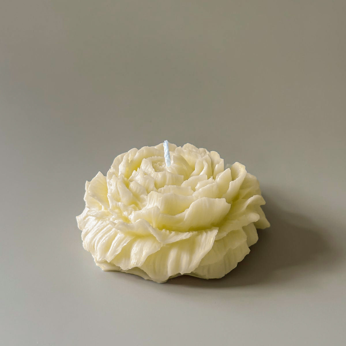 Floral-shaped candle on a plain background