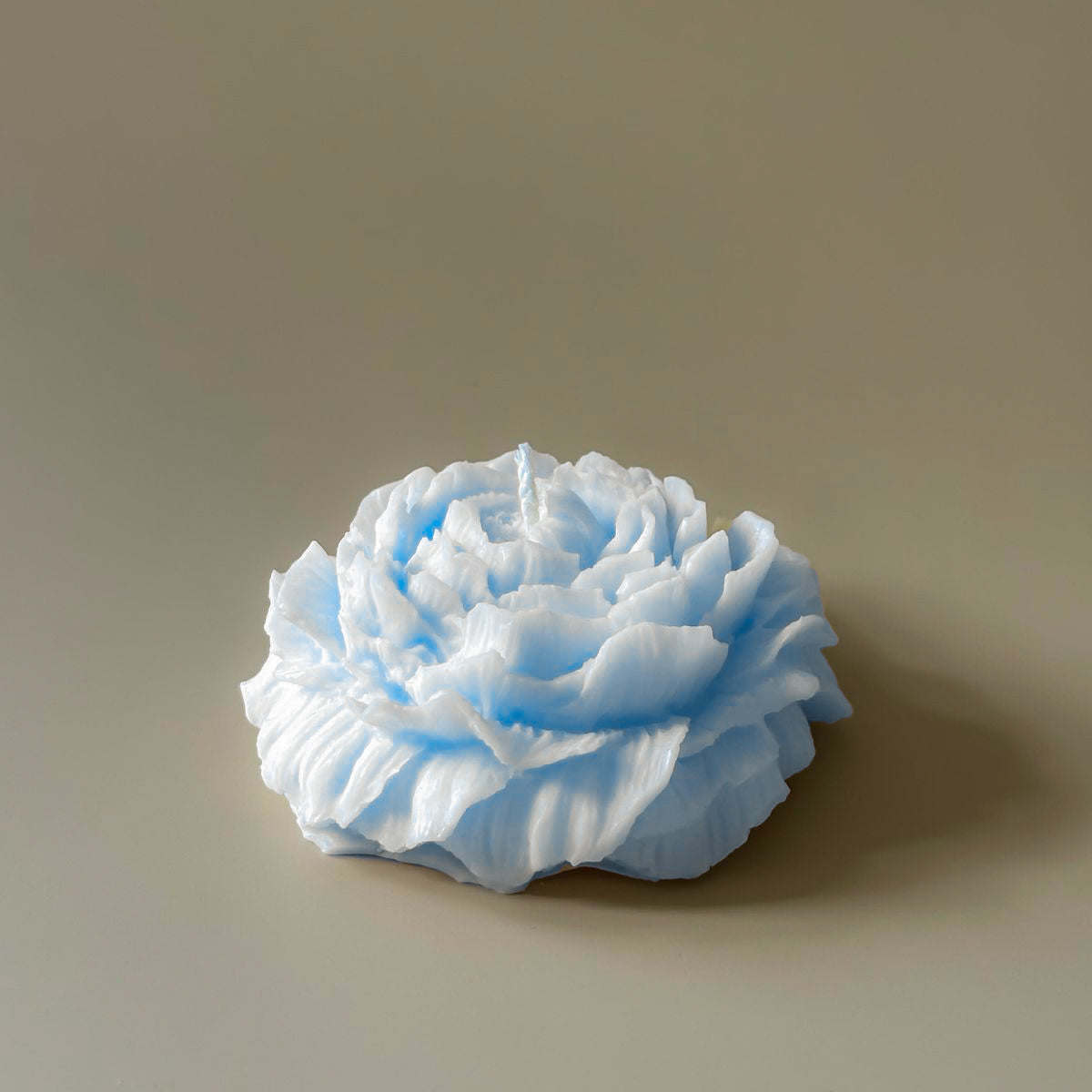 Light blue flower-shaped object on a beige background