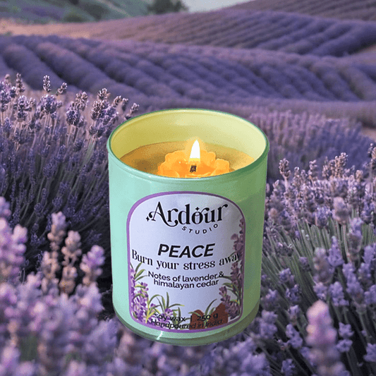 scented - candle - aromatherapy - ahmedabad - india - soy - wax - candles - scented - soy